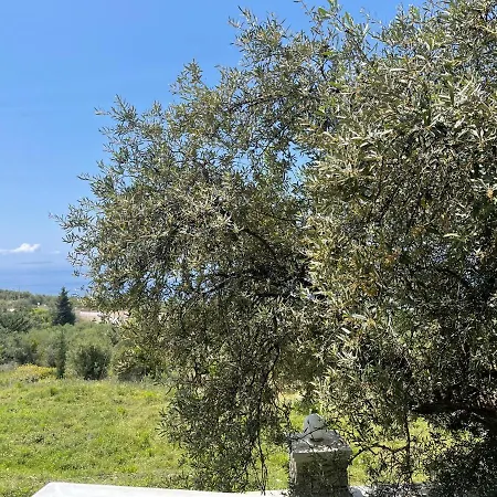 Season מלון