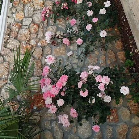 Season Dhërmi