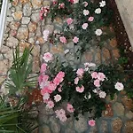 Season Dhërmi